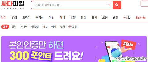 싸다파일 홈페이지설명